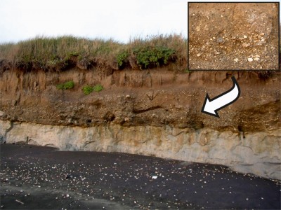 Figure 2. Outcrop of a fossil pebble beach in Nettuno (Rome).